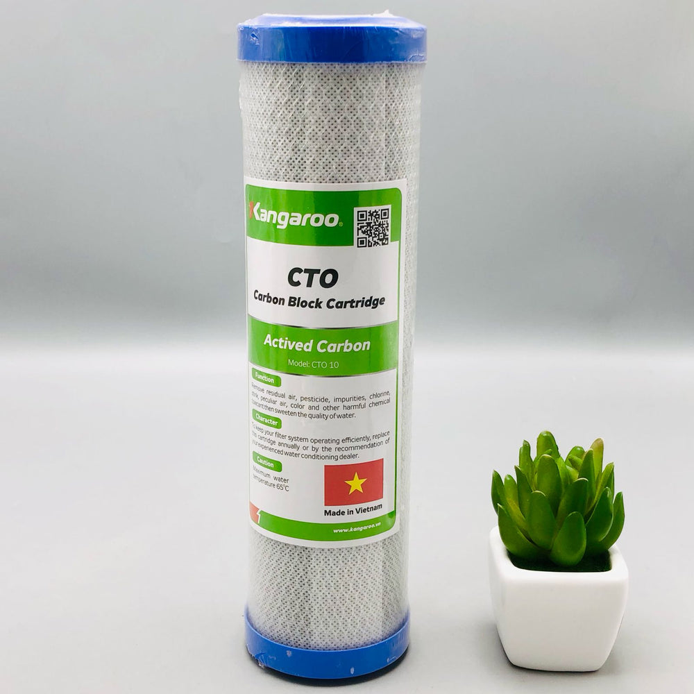 Carbon Block Cartridge 10 CTO"(Active Carbon)