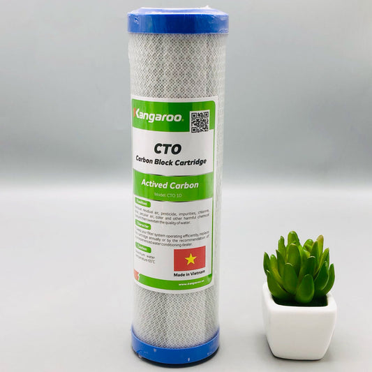 Carbon Block Cartridge 10"(Active Carbon)