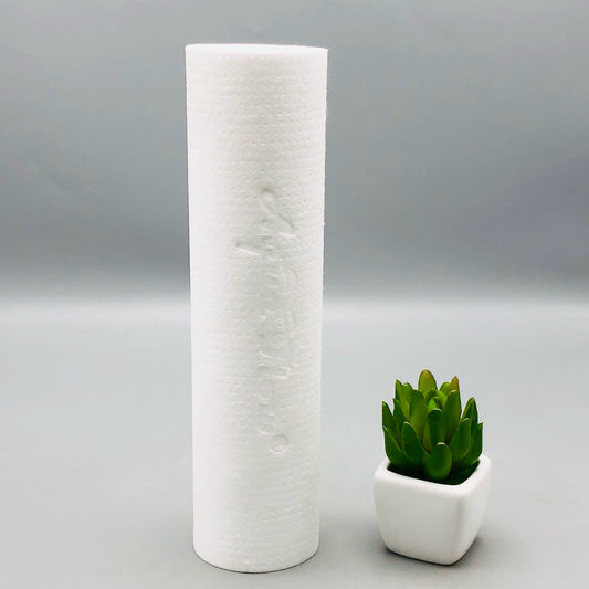 Aqua Flow Sediment Filter 10" Imported Taiwan