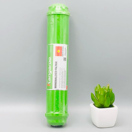 Kangaroo Reverse Osmosis Mineralized Filter