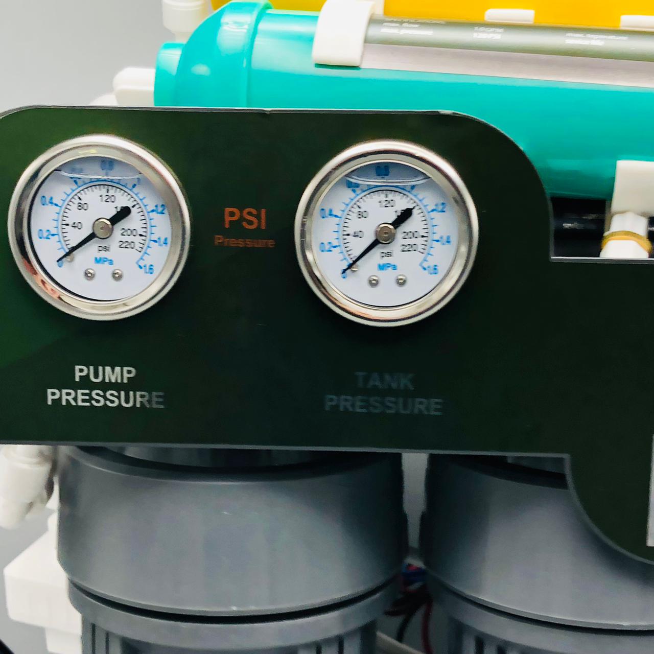 PALL 100 GPD 7 Stage Reverse Osmosis Double Gauge